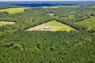 566 Earl Dixon Rd, Girard, GA 30426 - Photo 58