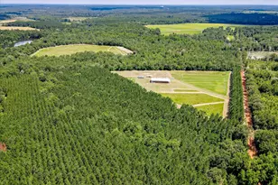 566 Earl Dixon Rd, Girard, GA 30426 - Photo 56