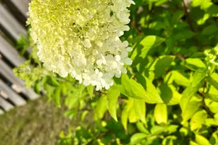 319 Bordeaux Dr, Thomson, GA 30824 - Photo 28