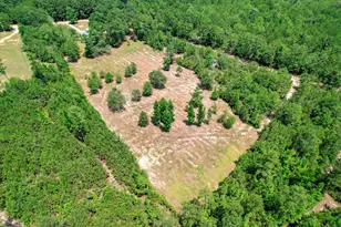 422 Bath Rd Rd, Harlem, GA 30814 - Photo 44