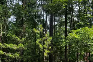 L5 B17 Creekside Cove, McCormick, SC 29835 - Photo 1