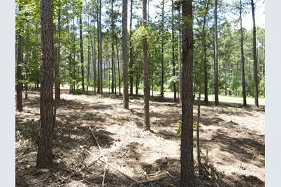Lot 6 Lighthouse Point, Lincolnton, GA 30817 - Photo 20