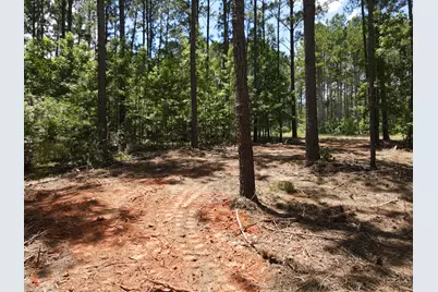 Lot 6 Lighthouse Point, Lincolnton, GA 30817 - Photo 22