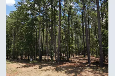 Lot 6 Lighthouse Point, Lincolnton, GA 30817 - Photo 6