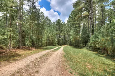 395 New Cut Road, Edgefield, SC 29824 - Photo 70