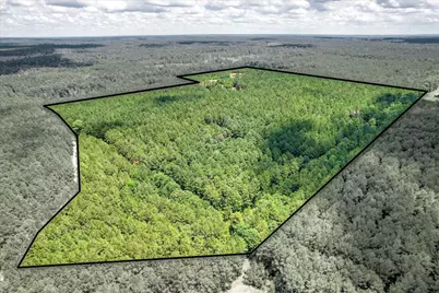 395 New Cut Road, Edgefield, SC 29824 - Photo 50