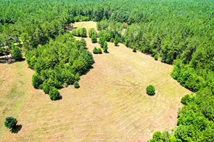395 New Cut Rd, Edgefield, SC 29824 - Photo 74