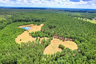 395 New Cut Road, Edgefield, SC 29824 - Photo 56