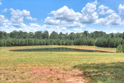 395 New Cut Road, Edgefield, SC 29824 - Photo 66