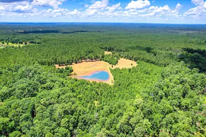 395 New Cut Road, Edgefield, SC 29824 - Photo 54