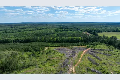 Lot 3A Elberton Highway, Lincolnton, GA 30817 - Photo 24