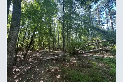 Lot 3A Elberton Highway, Lincolnton, GA 30817 - Photo 16