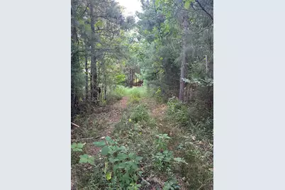 Lot 3A Elberton Highway, Lincolnton, GA 30817 - Photo 4