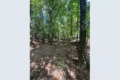 Lot 3A Elberton Highway, Lincolnton, GA 30817 - Photo 18