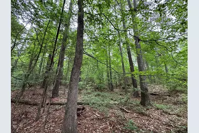 Lot 3A Elberton Highway, Lincolnton, GA 30817 - Photo 10