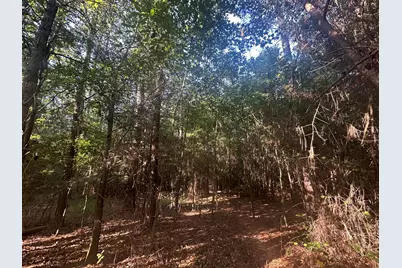 Lot 3A Elberton Highway, Lincolnton, GA 30817 - Photo 12