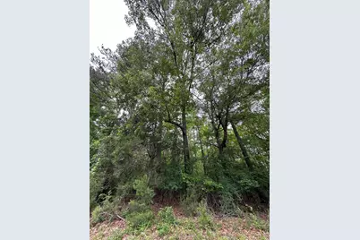 Lot 3A Elberton Highway, Lincolnton, GA 30817 - Photo 6