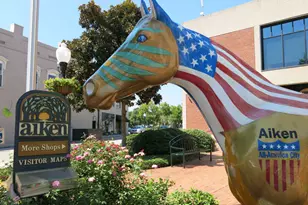 801 Brisbane Ct, Graniteville, SC 29829 - Photo 56