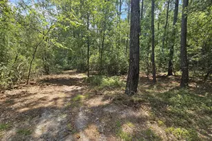 7173 Capers Path, Aiken, SC 29803 - Photo 24