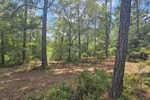 7173 Capers Path, Aiken, SC 29803 - Photo 14