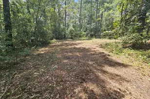 7173 Capers Path, Aiken, SC 29803 - Photo 12