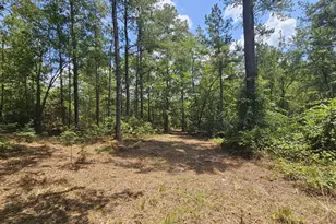 7173 Capers Path, Aiken, SC 29803 - Photo 18