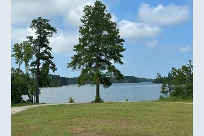 Lot 1 Dogwood Lane, Parksville, SC 29845 - Photo 14