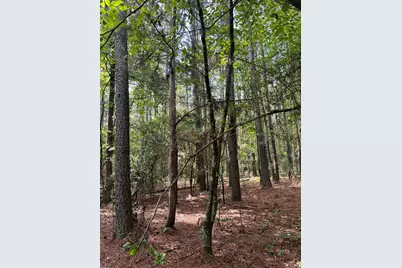 Lot 1 Dogwood Lane, Parksville, SC 29845 - Photo 2