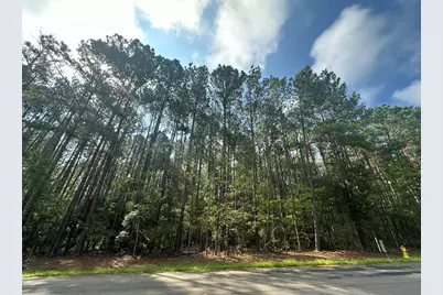 Lot 2 Dogwood Lane, Parksville, SC 29845 - Photo 1