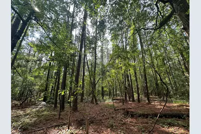 Lot 2 Dogwood Lane, Parksville, SC 29845 - Photo 4
