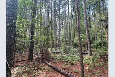 Lot 2 Dogwood Lane, Parksville, SC 29845 - Photo 2