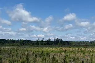 300 Hwy 378, Edgefield, SC 29824 - Photo 1