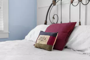 115 Buckhar Ln, Aiken, SC 29803 - Photo 48