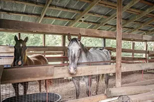 1341 Hwy 171, Louisville, GA 30434 - Photo 4