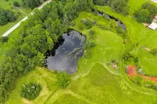 1341 Hwy 171, Louisville, GA 30434 - Photo 54