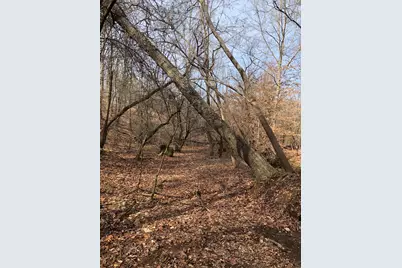 5111 Greensboro Rd, Washington, GA 30673 - Photo 70