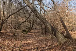 5111 Greensboro Rd, Washington, GA 30673 - Photo 70