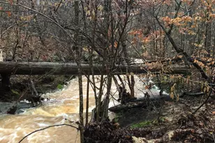 5111 Greensboro Rd, Washington, GA 30673 - Photo 68