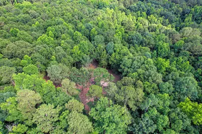Lot 6 Cypress Point Lane, Beech Island, SC 29842 - Photo 6