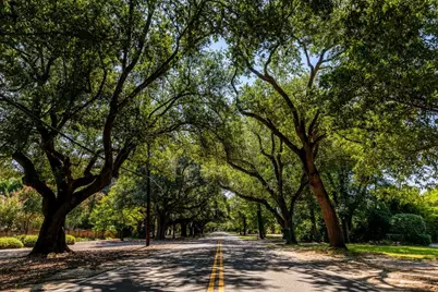 8213 Snelling Drive, Aiken, SC 29803 - Photo 40