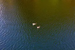 3042 Lake Norman Dr, North Augusta, SC 29841 - Photo 50