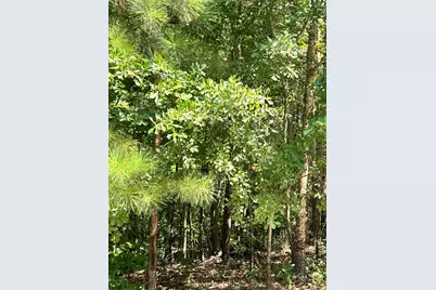 2121 Southlake Parkway, Augusta, GA 30906 - Photo 2