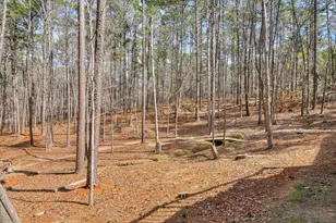 205 River Pl Pl, McCormick, SC 29835 - Photo 64