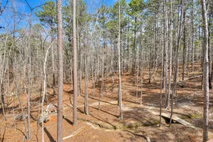 205 River Pl Pl, McCormick, SC 29835 - Photo 60