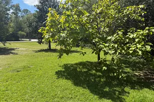 5601 Burks Mountain Rd, Appling, GA 30802 - Photo 18