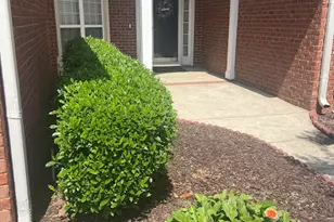 310 Barnsley Dr, Evans, GA 30809 - Photo 4