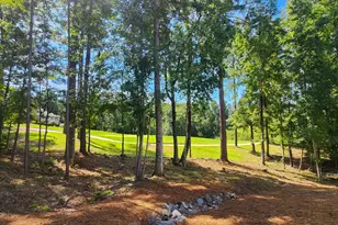 222 Louisa Ln, McCormick, SC 29835 - Photo 36