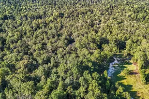 891 Rustic Oak Bend, Hephzibah, GA 30815 - Photo 18