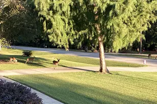 1003 Mohawk Dr, Lincolnton, GA 30817 - Photo 58