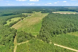 356 Massey-Doss Rd, Keysville, GA 30816 - Photo 8